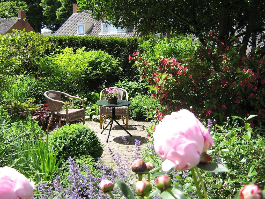 B&B De Esdoorn Norg Exterior foto